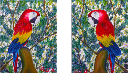 Scarlett Macaws painting